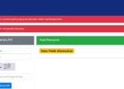 Cara Cek Status Penerima Bantuan PIP dan Universal Credit yang Benar