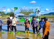 Danareksa Salurkan Kurban untuk 3.800 Keluarga, Perkuat Ketahanan Pangan dan Rantai Ekonomi Kerakyatan