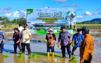 Danareksa Salurkan Kurban untuk 3.800 Keluarga, Perkuat Ketahanan Pangan dan Rantai Ekonomi Kerakyatan