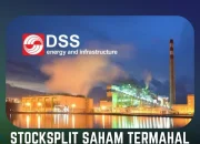 Dian Swastatika Sentosa Didepak FTSE Russell: Apa yang Terjadi?