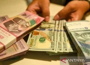 Dolar AS Menguat, Rupiah Melemah: Dampaknya terhadap Perekonomian Indonesia