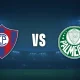 Drama Cerro Porteño vs Palmeiras: Kelelahan Jadwal, Kritik Lapangan, dan Sorotan Media