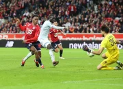 Drama di Decathlon Arena: LOSC vs Le Havre Berakhir Imbang, Penonton Tercatat Rekor Ketiga Terpadat