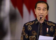 Efek Jokowi: Antara Harapan dan Tantangan Baru