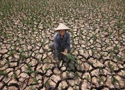 El Niño 2026: Ancaman Kering dan Banjir di India dan Dunia