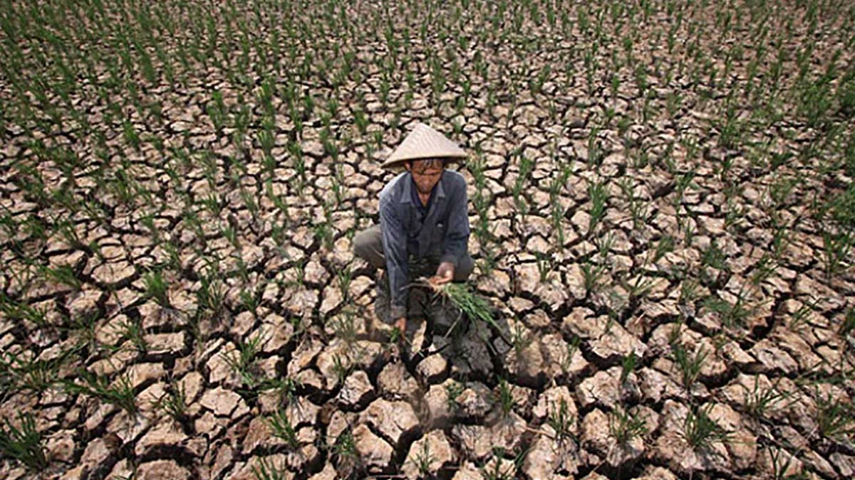 El Niño 2026: Ancaman Kering dan Banjir di India dan Dunia
