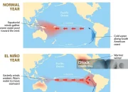 El Niño: Fenomena Alam yang Mengancam Cuaca Dunia