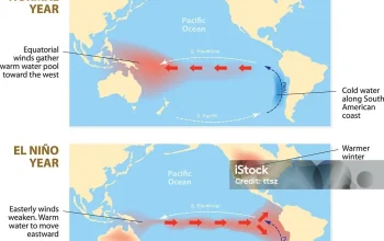 El Niño: Fenomena Alam yang Mengancam Cuaca Dunia