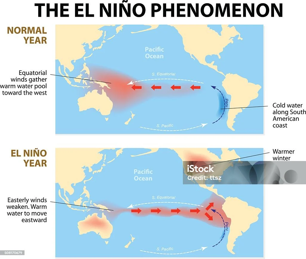 El Niño: Fenomena Alam yang Mengancam Cuaca Dunia