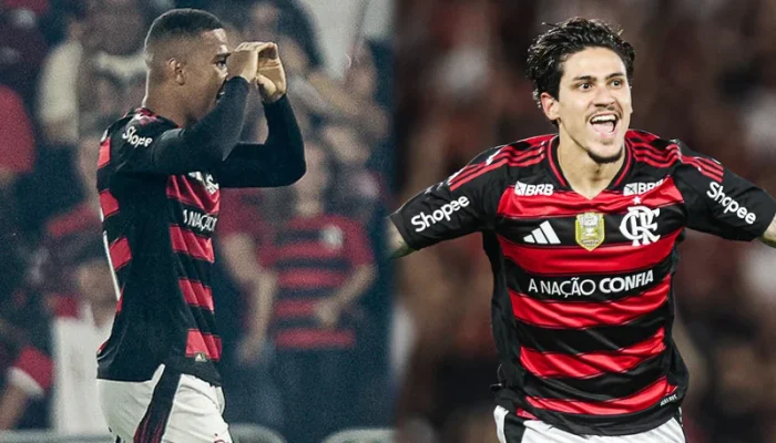 Flamengo Mengalahkan Coritiba di Brasileirão: Lino dan Pedro Menjadi Pahlawan