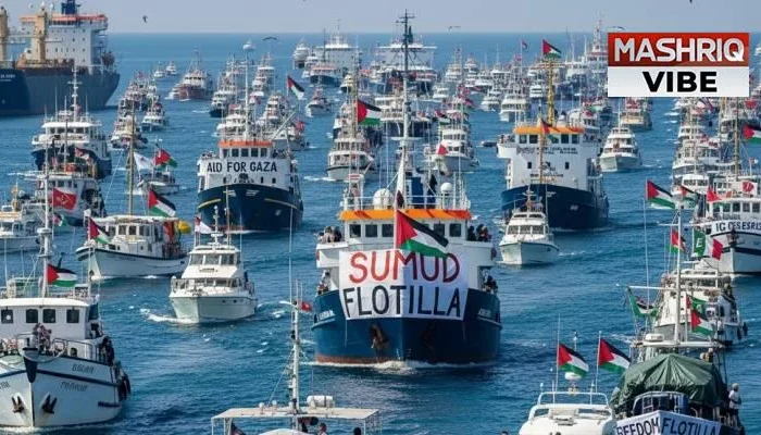Flotila Internasional: Antara Kemanusiaan dan Konflik