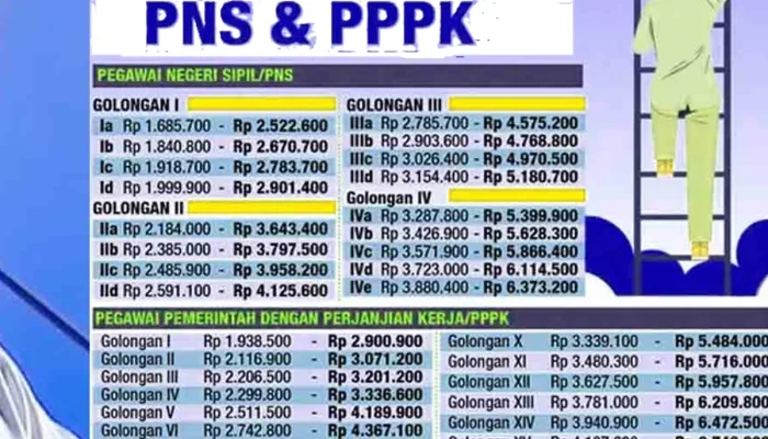 Gaji PNS di Bawah Sorotan: Pemotongan 50% atas Pelanggaran dan Kontroversi Kebijakan Rekrutmen Daerah
