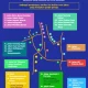 Ganjil Genap Jakarta Hari Ini 20 Mei 2026, Ada 26 Titik dan Dukungan untuk Kendaraan Listrik