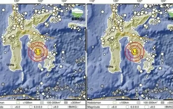 Gempa Hari Ini: Gempa Bumi Menggetarkan Wilayah Muna, Sulawesi Tenggara