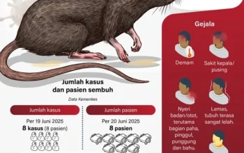 Hantavirus: Apa yang Perlu Anda Ketahui tentang Virus Langka yang Membunuh Tiga Penumpang Kapal Pesiar