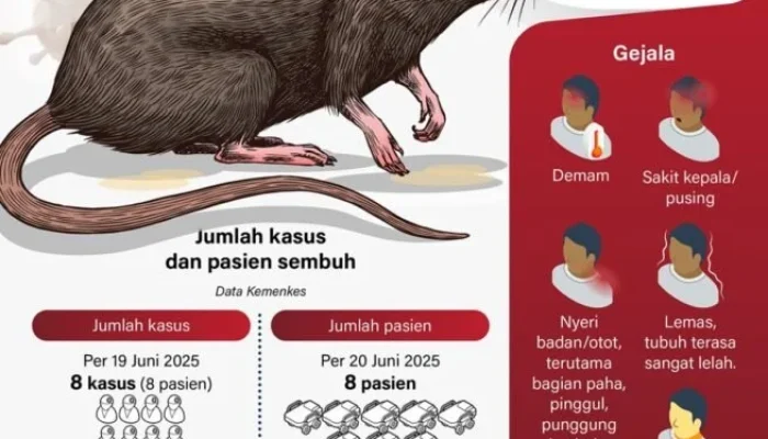 Hantavirus: Apa yang Perlu Anda Ketahui tentang Virus Langka yang Membunuh Tiga Penumpang Kapal Pesiar