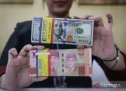 Harga Dolar AS Menguat, Rupiah Melemah: Apa yang Terjadi dengan Harga Beras SPHP dan Barang Lainnya?