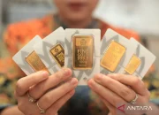 Harga Emas Antam Turun Rp 13.000/Gram, Galeri24 Melemah Rp 32.000/Gram: Apa Penyebab dan Dampaknya bagi Investor?