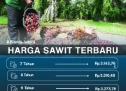 Harga Sawit Hari Ini: Tren Terbaru dan Dampaknya pada Petani