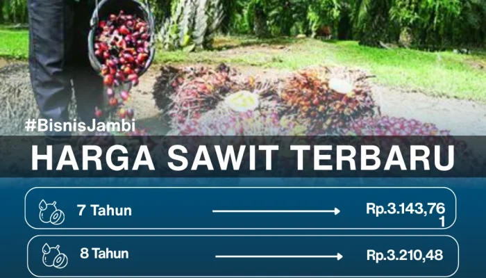 Harga Sawit Hari Ini: Tren Terbaru dan Dampaknya pada Petani