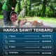 Harga Sawit Hari Ini: Tren Terbaru dan Dampaknya pada Petani