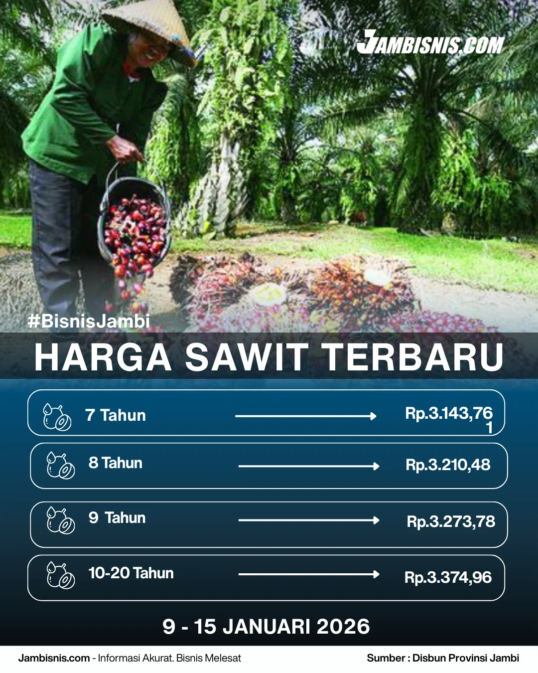 Harga Sawit Hari Ini: Tren Terbaru dan Dampaknya pada Petani