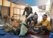 Jakarta Islamic Index: Masjid Al Ikhlas Sebar Daging Kurban ke 2.000 Orang