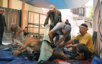Jakarta Islamic Index: Masjid Al Ikhlas Sebar Daging Kurban ke 2.000 Orang