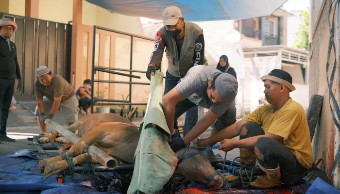 Jakarta Islamic Index: Masjid Al Ikhlas Sebar Daging Kurban ke 2.000 Orang