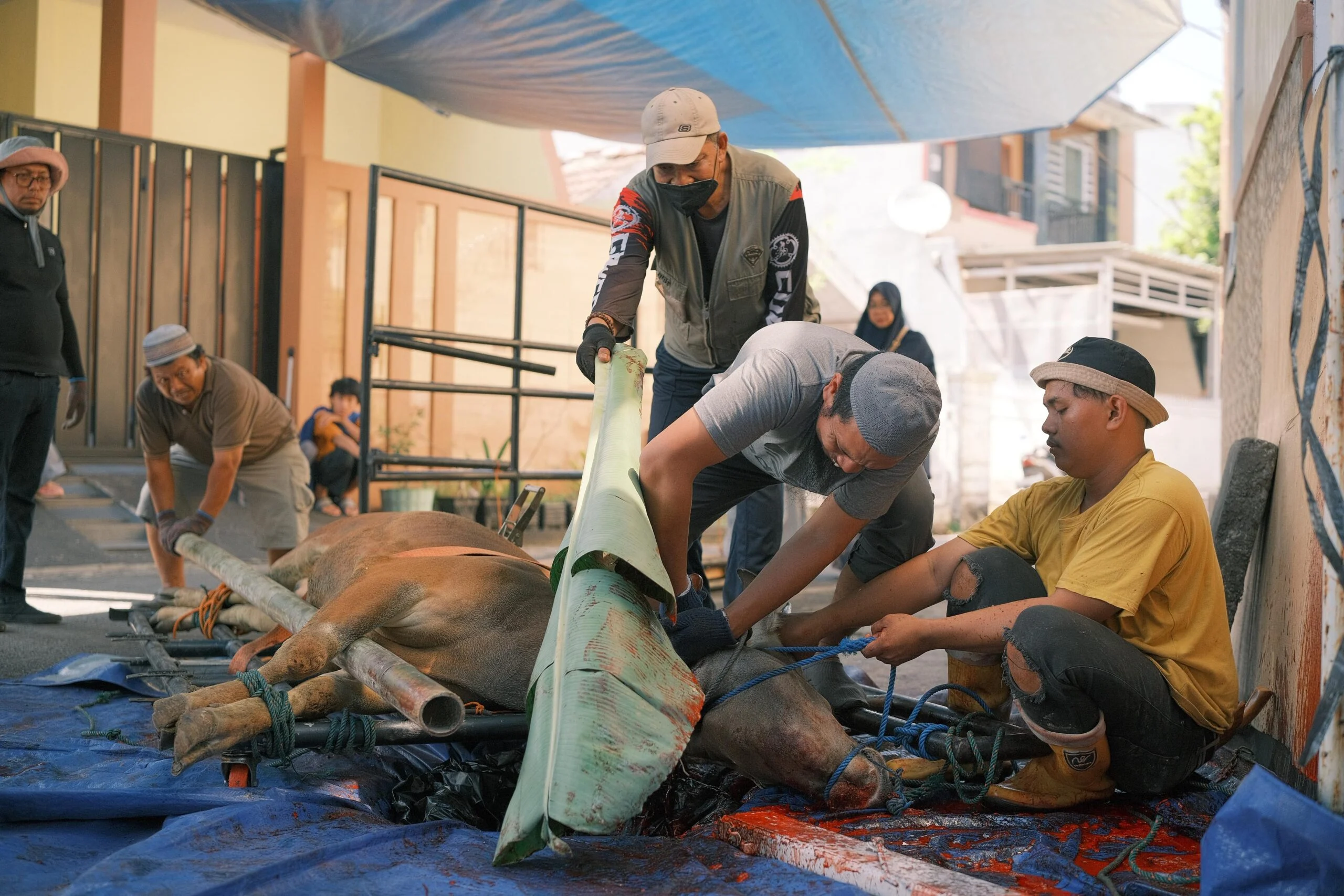 Jakarta Islamic Index: Masjid Al Ikhlas Sebar Daging Kurban ke 2.000 Orang