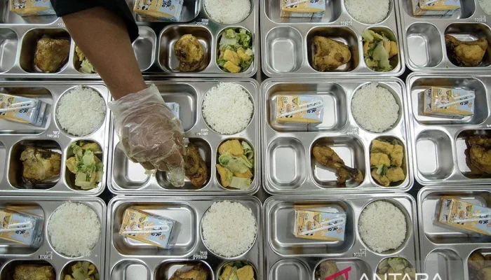 Keracunan Makanan pada Program Makan Bergizi Gratis: Penyebab dan Dampak