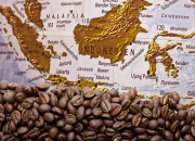 Kill Chain: Bagaimana Budaya Kopi Yaman Mengglobal dan Mengubah Lanskap Kafe di AS