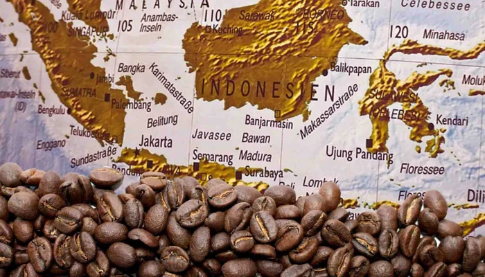 Kill Chain: Bagaimana Budaya Kopi Yaman Mengglobal dan Mengubah Lanskap Kafe di AS