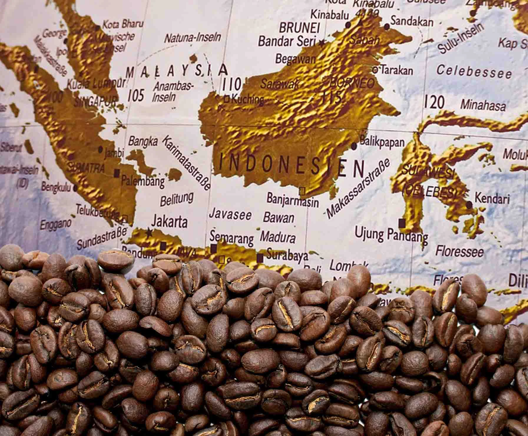 Kill Chain: Bagaimana Budaya Kopi Yaman Mengglobal dan Mengubah Lanskap Kafe di AS
