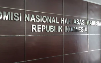 Komisi Nasional Hak Asasi Manusia Dikerdilkan, Apa yang Terjadi?