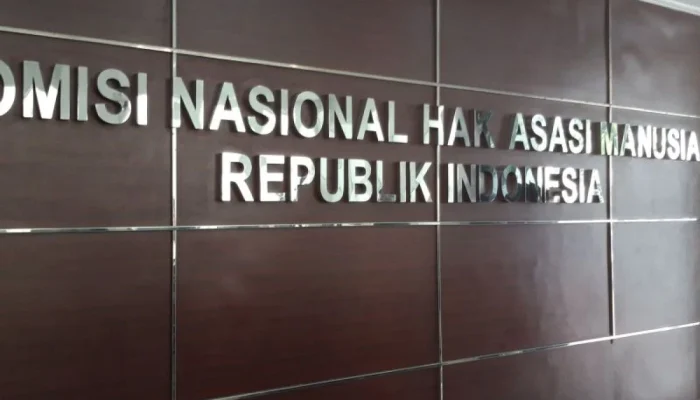 Komisi Nasional Hak Asasi Manusia Dikerdilkan, Apa yang Terjadi?