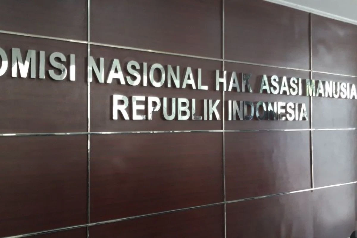 Komisi Nasional Hak Asasi Manusia Dikerdilkan, Apa yang Terjadi?