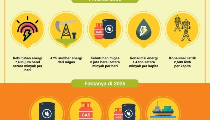 Krisis Energi Global: Ancaman dan Tantangan bagi Indonesia