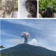 Letusan Gunung Berapi di Indonesia, 3 Pendaki Tewas
