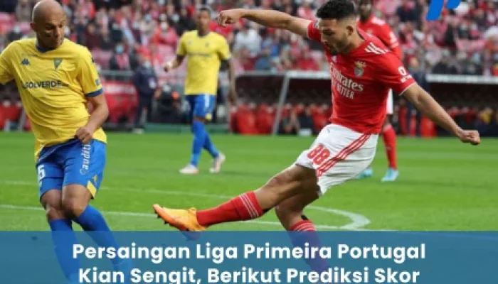 Liga Portugal: Persaingan Sengit dan Kerja Sama Internasional