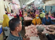 Lonjakan Harga Daging Ayam, Bisnis Organik, dan Resep Bakso Mix: Peluang & Tips Aman bagi Konsumen