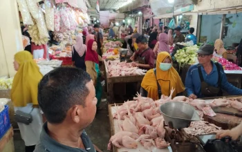 Lonjakan Harga Daging Ayam, Bisnis Organik, dan Resep Bakso Mix: Peluang & Tips Aman bagi Konsumen