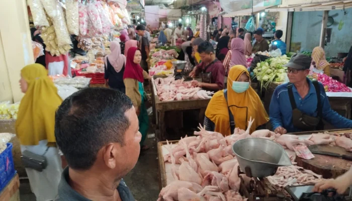 Lonjakan Harga Daging Ayam, Bisnis Organik, dan Resep Bakso Mix: Peluang & Tips Aman bagi Konsumen