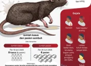 Mengenal Hantavirus: Gejala, Penyebab, dan Cara Mencegahnya