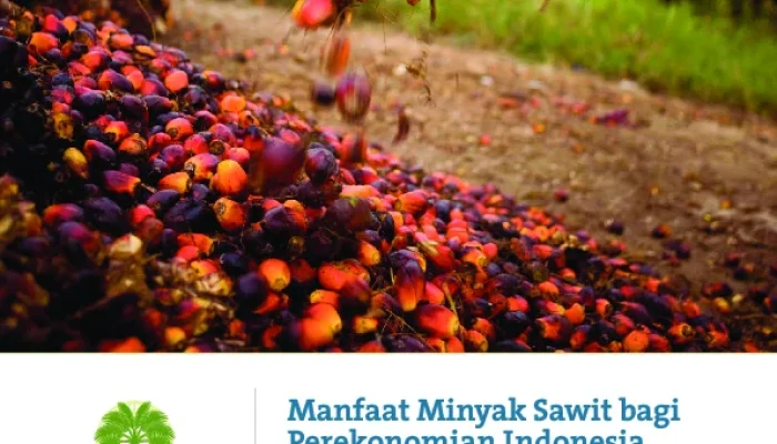 Mengenal Minyak Sawit dan Dampaknya terhadap Perekonomian Indonesia
