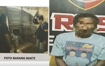 Mengungkap Kasus Video Viral Batang: Modus Iming-iming Rp220 Juta dan Langkah Hukum Terbaru