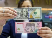 Nilai Rupiah Terhadap Dolar AS Hari Ini, Senin 25 Mei 2026