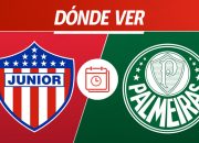 Palmeiras vs Junior: Duel Seru di Libertadores, Siapa yang Akan Menang?