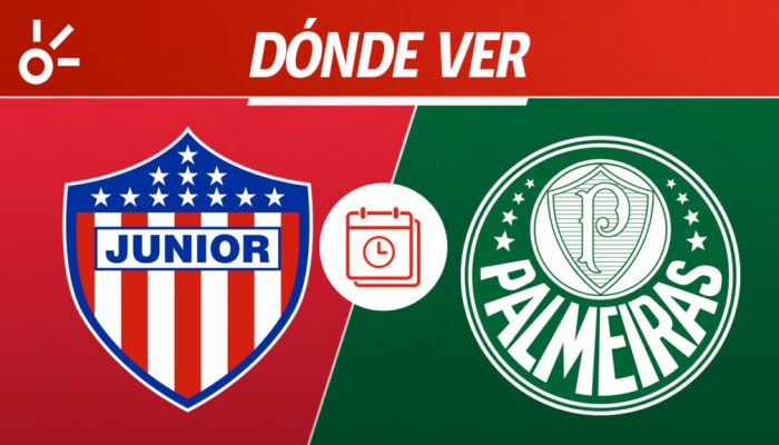 Palmeiras vs Junior: Duel Seru di Libertadores, Siapa yang Akan Menang?