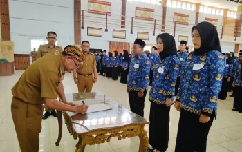 Pegawai Negeri Sipil di Indonesia: Prospek, Tantangan, dan Peluang